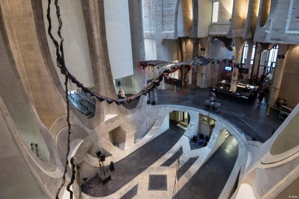 Zeitz MOCAA, Cape Town