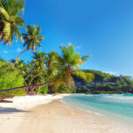 Morne Seychellois National Park