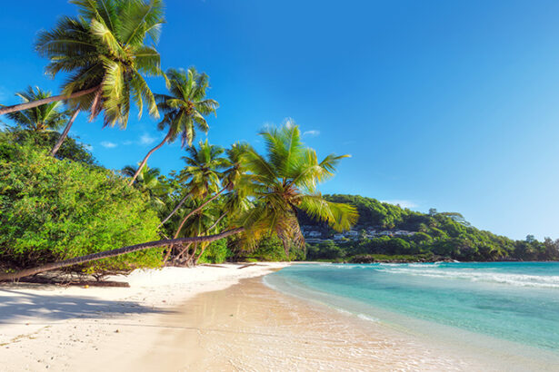 Morne Seychellois National Park