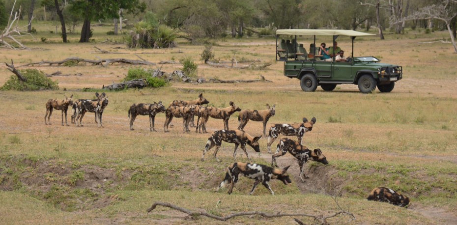 Nyerere National Park Tanzania