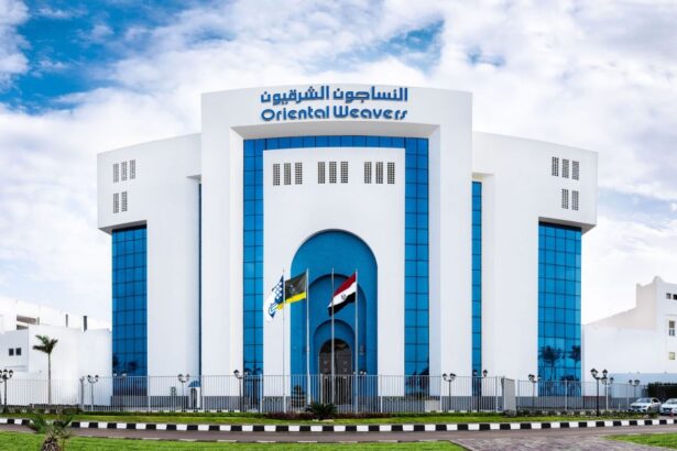 Oriental Weavers 2025 profit