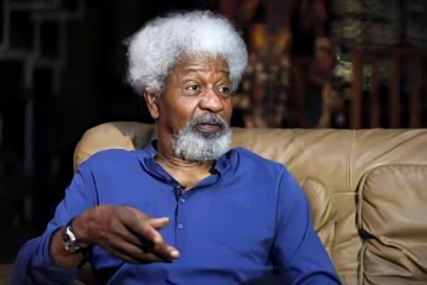 Ten Nobel voices shaping Africa’s soul