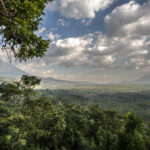 Virunga National Park, Congo