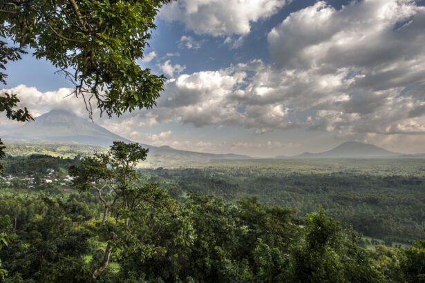 Virunga National Park, Congo