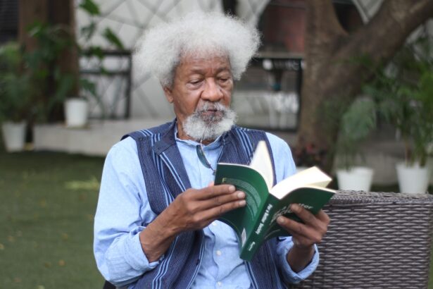 Wole Soyinka lasting achievement