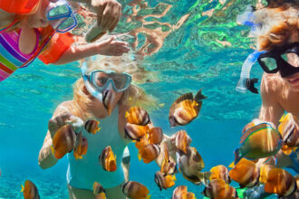 Tourists snorkeling among tropical fish in the clear waters of Malindi Marine National Park, Kenya