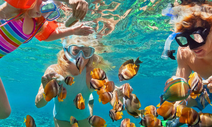 Tourists snorkeling among tropical fish in the clear waters of Malindi Marine National Park, Kenya