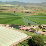 AgDevCo invests $10 million in Zambia