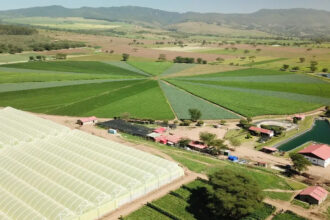 AgDevCo invests $10 million in Zambia