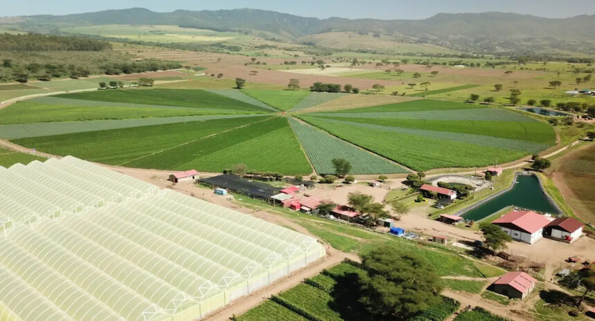 AgDevCo invests $10 million in Zambia