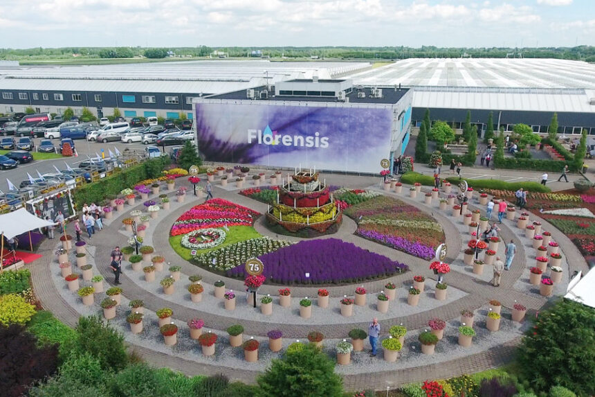 Sango Bay Estates – Uganda