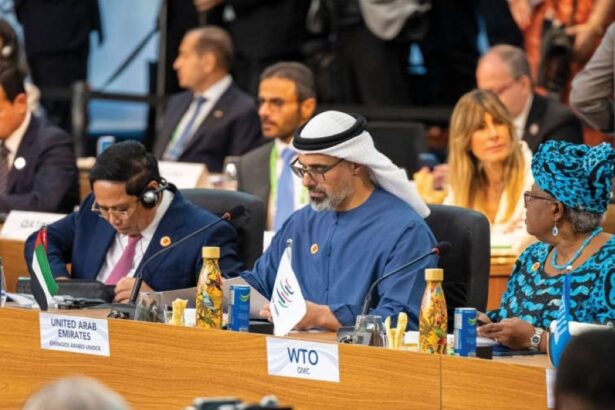 G20 Summit, Johannesburg, South Africa