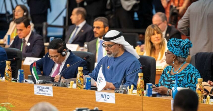 G20 Summit, Johannesburg, South Africa