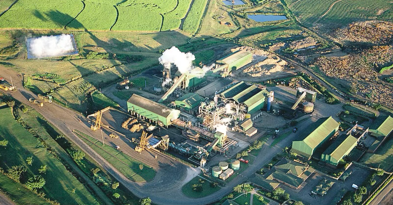 Africa’s biggest sugar farms