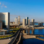 Largest African countries by landmass