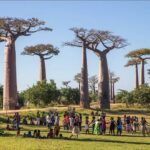Madagascar tourism growth