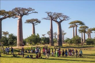 Madagascar tourism growth