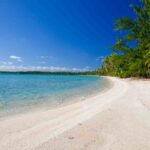 The waters around the island are home to coral reefs, whale sharks and dugongs.