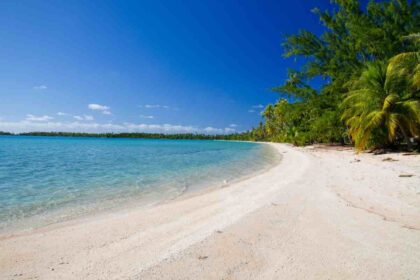 The waters around the island are home to coral reefs, whale sharks and dugongs.