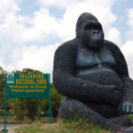 Volcanoes National Park Rwanda luxury tourism