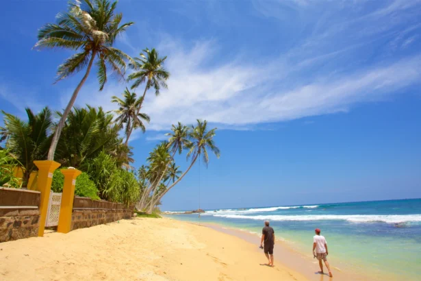 Sri Lanka tourism earnings 2025