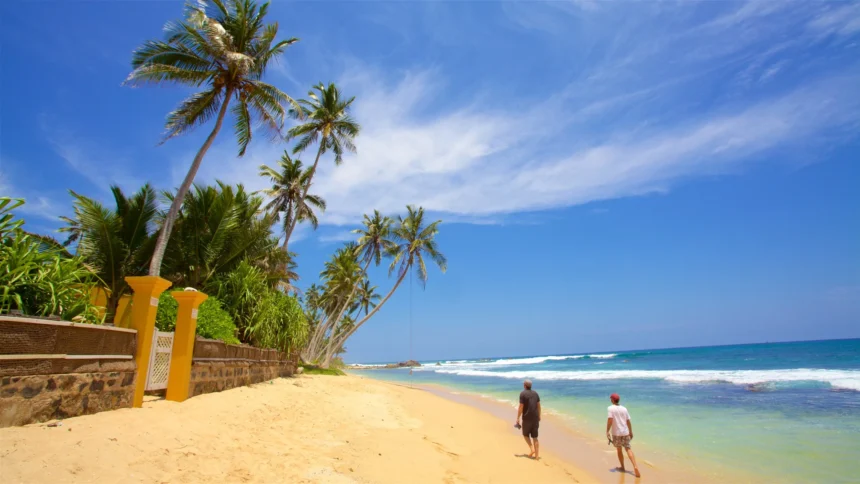 Sri Lanka tourism earnings 2025