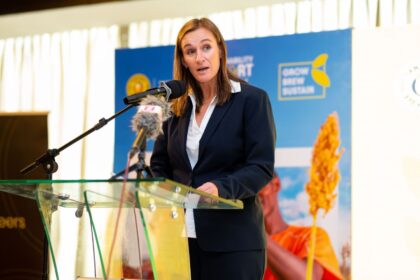 Tanzania Breweries valuation