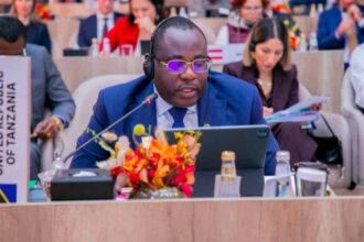 The government counters false reports, reaffirming Tanzania’s safety for tourists.