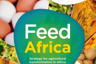 Sub-Saharan Africa food imports