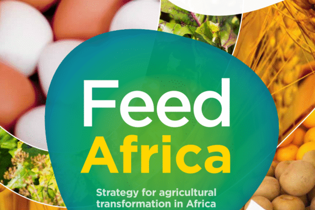 Sub-Saharan Africa food imports