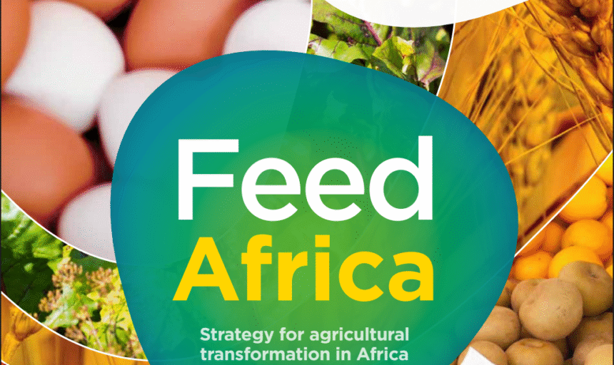 Sub-Saharan Africa food imports
