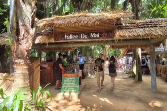 Vallée de Mai Praslin