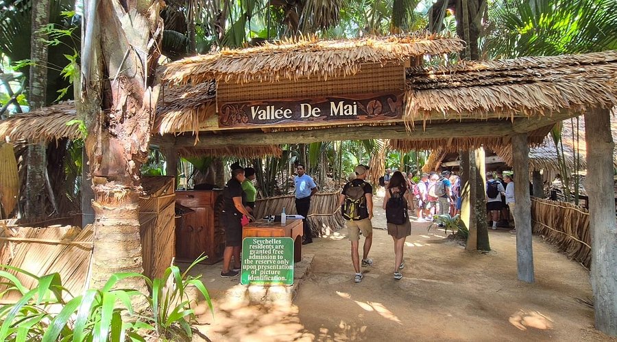 Vallée de Mai Praslin