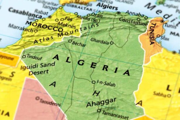 largest countries in Africa