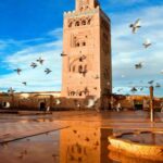 Morocco has emerged as Africa’s leading tourism destination and one of the top-ranked globally