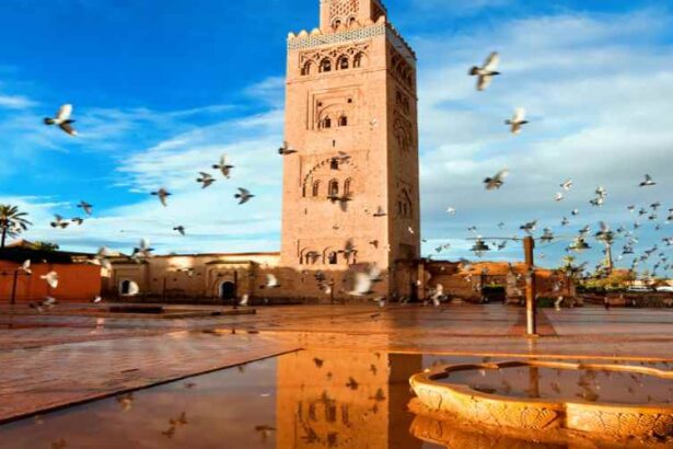 Morocco has emerged as Africa’s leading tourism destination and one of the top-ranked globally