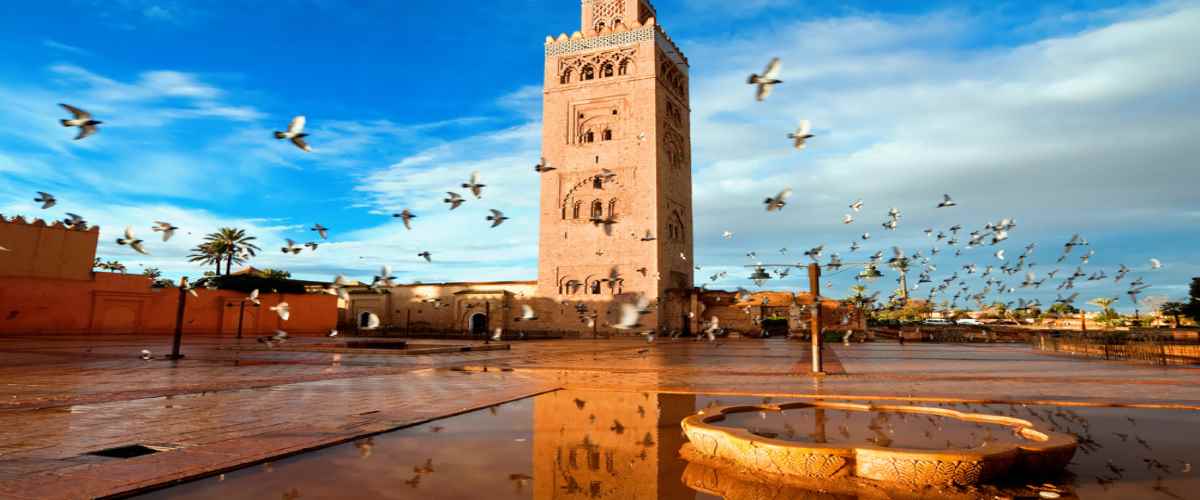 Morocco has emerged as Africa’s leading tourism destination and one of the top-ranked globally