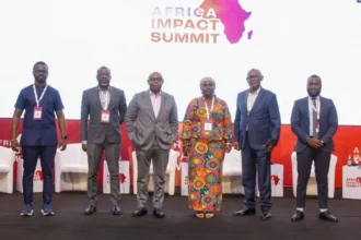 Africa’s Impact Investment Funds reach $80 billion in assets