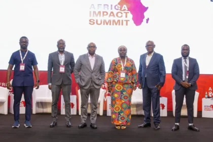 Africa’s Impact Investment Funds reach $80 billion in assets