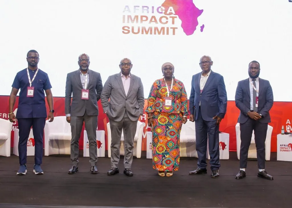 Africa’s Impact Investment Funds reach $80 billion in assets
