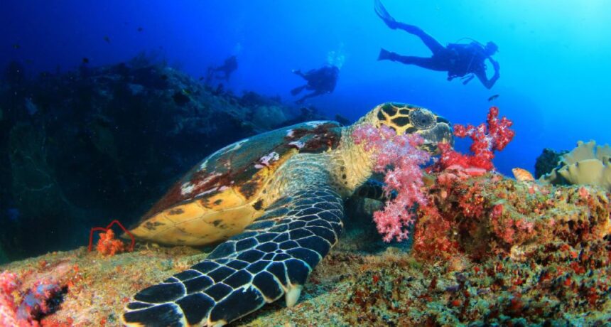 Anantara Bazaruto, Mozambique