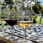 Boschendal Winelands economy