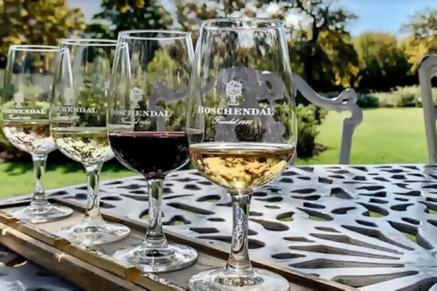 Boschendal Winelands economy