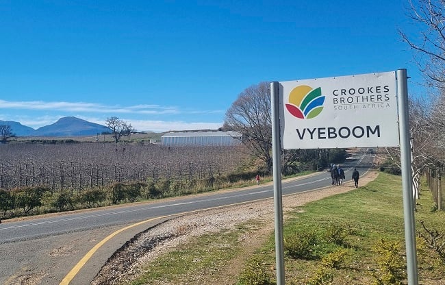 Crookes Brothers earnings