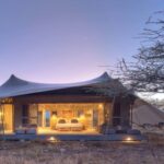 Hyatt partnership with Asilia