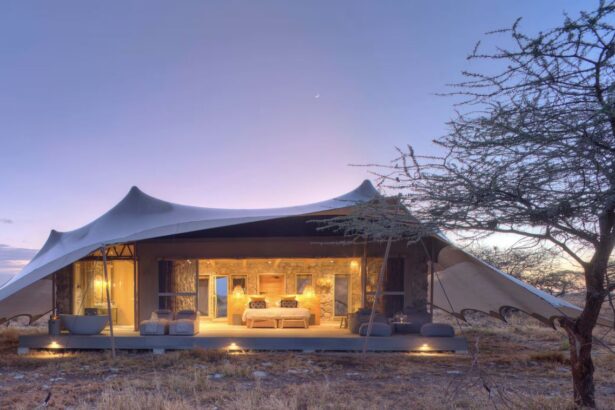 Hyatt partnership with Asilia