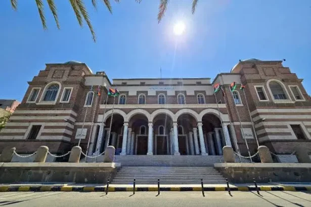 Africa’s biggest forex reserves