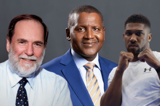 African billionaire wealth strategies