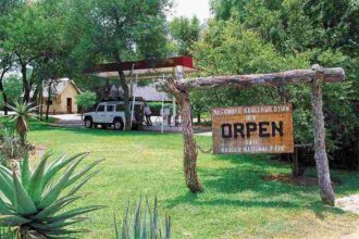 The reopening offers welcome relief for safari lodges