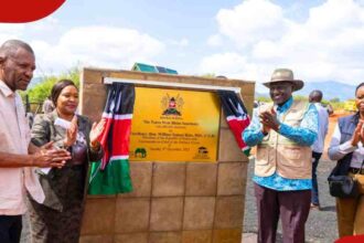 President William Ruto said the project will redefine Tsavo’s role in the safari sector
